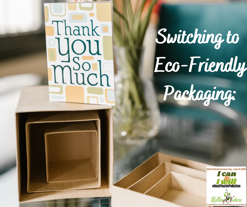 How To Choose Eco-Friendly Packaging?