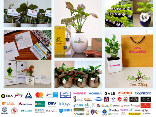 Elevate Your Corporate Gifting with Rolling Nature Customized Green Gifts