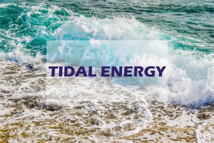 All You Need to Know About Converting Tidal Waves into Energy