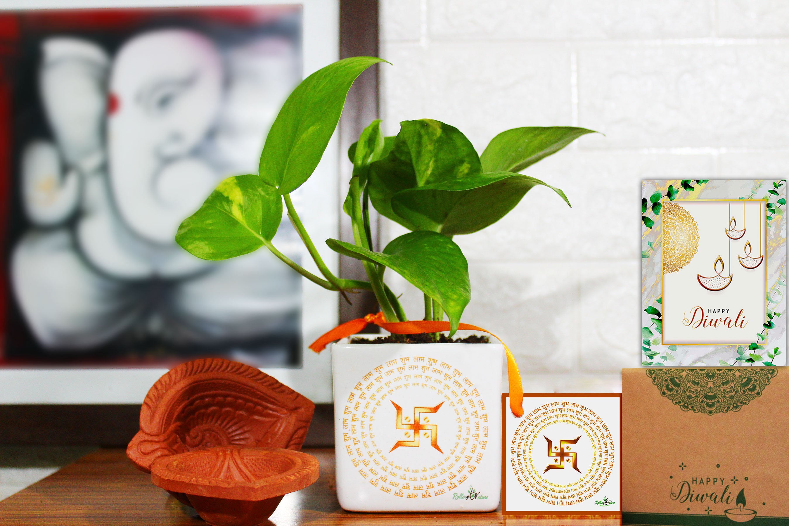 Gift Blessings of Buddha with Money Plant | Winni.in